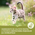 Ingrediente-de-calitate-pentru-a-favoriza-dezvoltarea-muschilor-si-a-scheletului.jpg