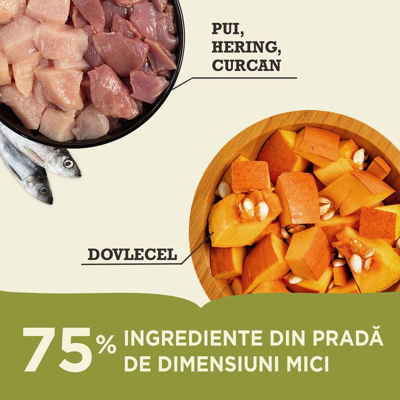 PUI,-HERING,-CURCAN---70�-ingrediente-din-prada-de-dimensiuni-mici.jpg