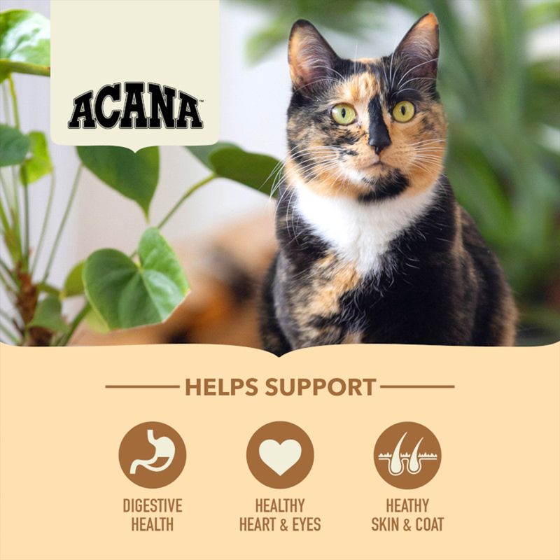 ACANA-Cat-Homestead-Harvest-Chicken-with-Turkey-Front-Right-4.5kg-3.jpg