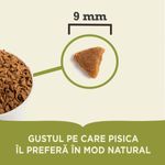 ACANA-Indoor-Entr-e-Pui-si-Hering-hrana-uscata-pisici-4-5kg-3.jpg