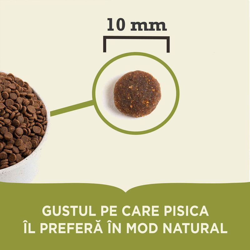 Gustul-pe-care-pisica-il-prefera-in-mod-natural.jpg