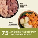 PUI-CURCAN-RATA---MERE-DOVLECEL--75�-ingrediente-din-prada-de-dimensiune-mica.jpg