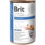 BRIT-VD-Recovery-Somon-dieta-veterinara-conserva-hrana-umeda-fara-cereale-caini-convalescenta-in-sos-400g-1--1-.jpg