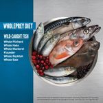 ORIJEN Six Fish Cat Bowl Image EMEA APAC.jpg