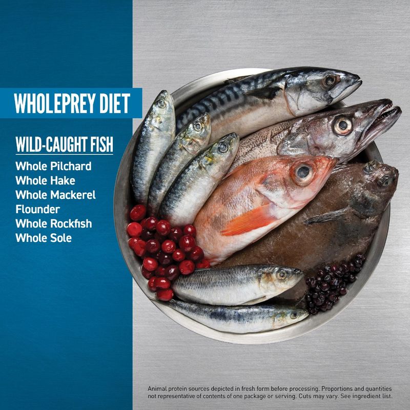 ORIJEN Six Fish Cat Bowl Image EMEA APAC.jpg