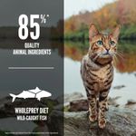 ORIJEN Six Fish Cat Feature EMEA APAC.jpg