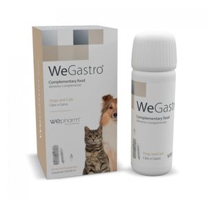 WEPHARM WeGastro, supliment sistem digestiv câini, suspensie orală