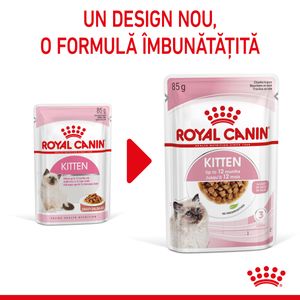 Royal Canin Kitten, hrană umedă pisici, (în sos)
