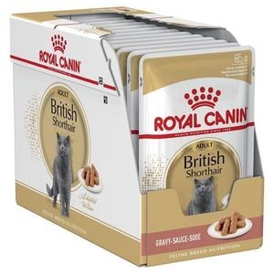 Royal Canin British Shorthair Adult, hrană umedă pisici, (în sos)