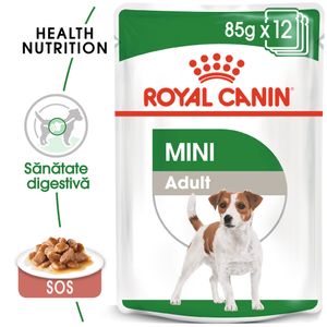 Royal Canin Mini Adult, hrană umedă câini, (în sos)