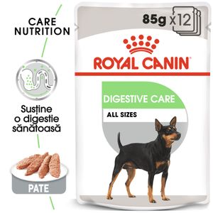 Royal Canin Digestive Care Adult, hrană umedă câini, confort digestiv, (pate)