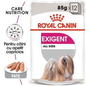 Royal Canin Exigent Adult, hrană umedă câini, apetit capricios, (pate)