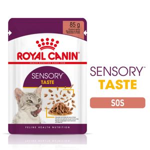 Royal Canin Sensory Taste, hrană umedă pisici, stimularea gustului (în sos)