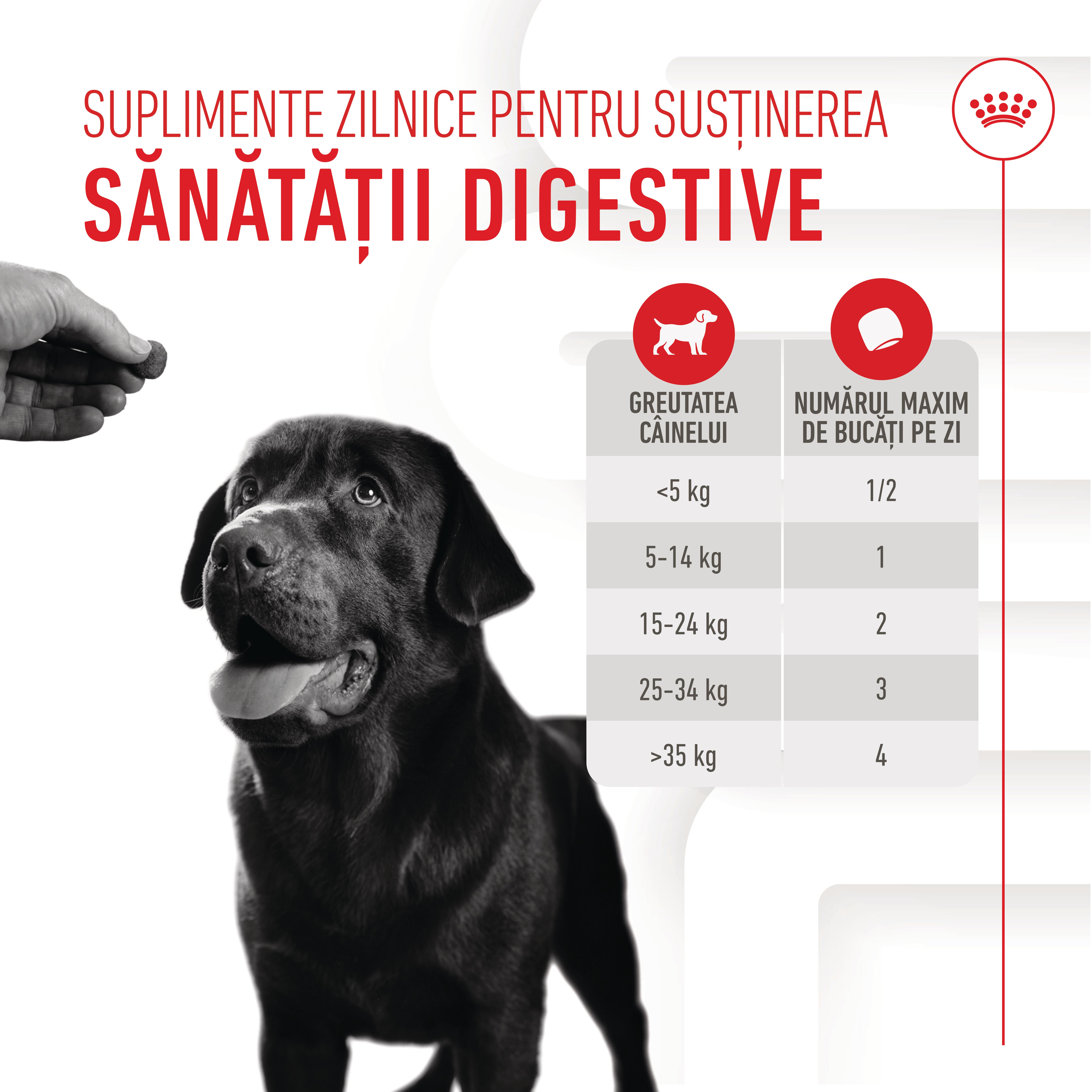 ROYAL-CANIN-Digestion-Chews-Adult-Supplements-punguta-recompense-functionale-caini-sistem-digestiv-160g-ghid-hranire-1
