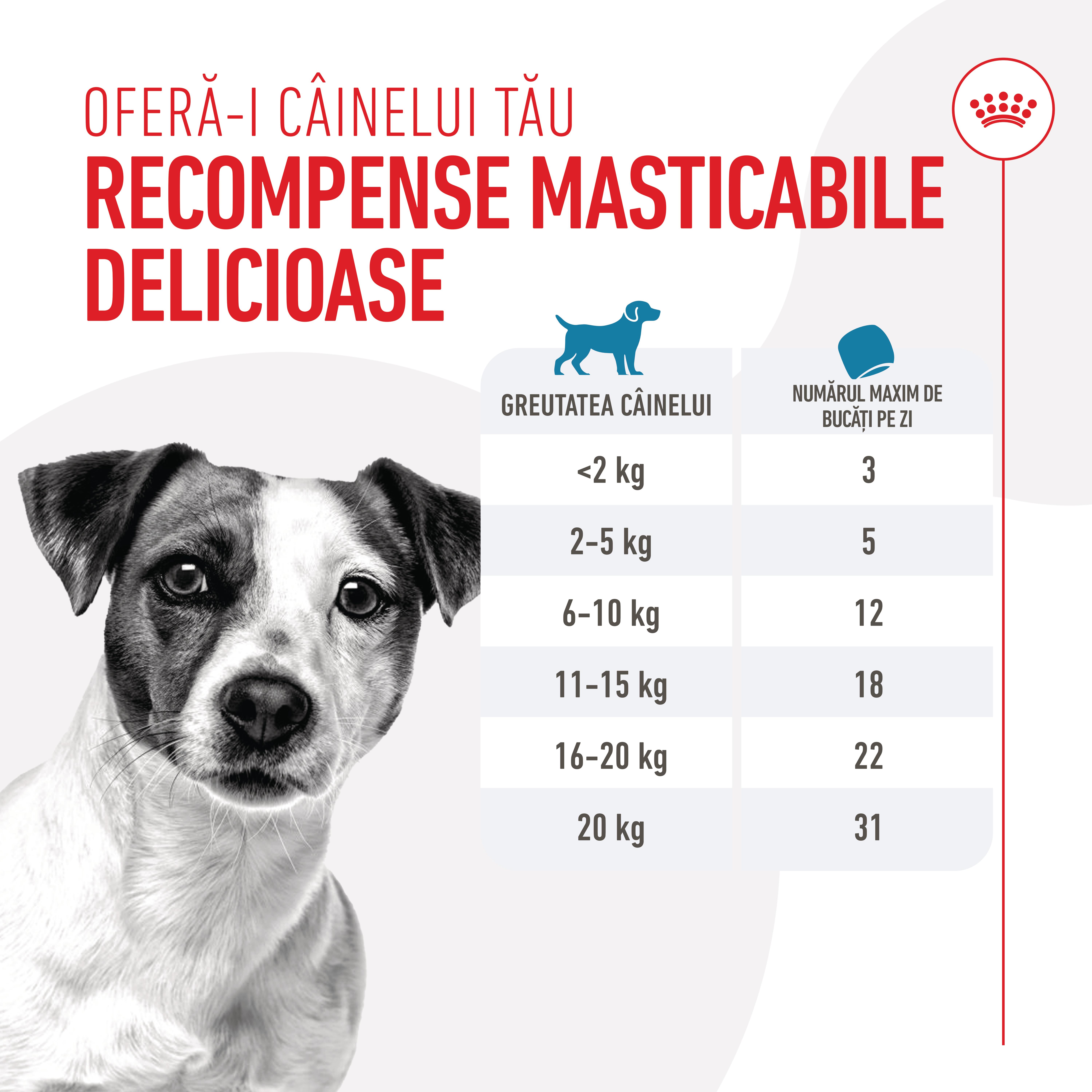 ROYAL-CANIN-Training-Treats-punguta-recompense-functionale-caini-110g-ghid-hranire-1
